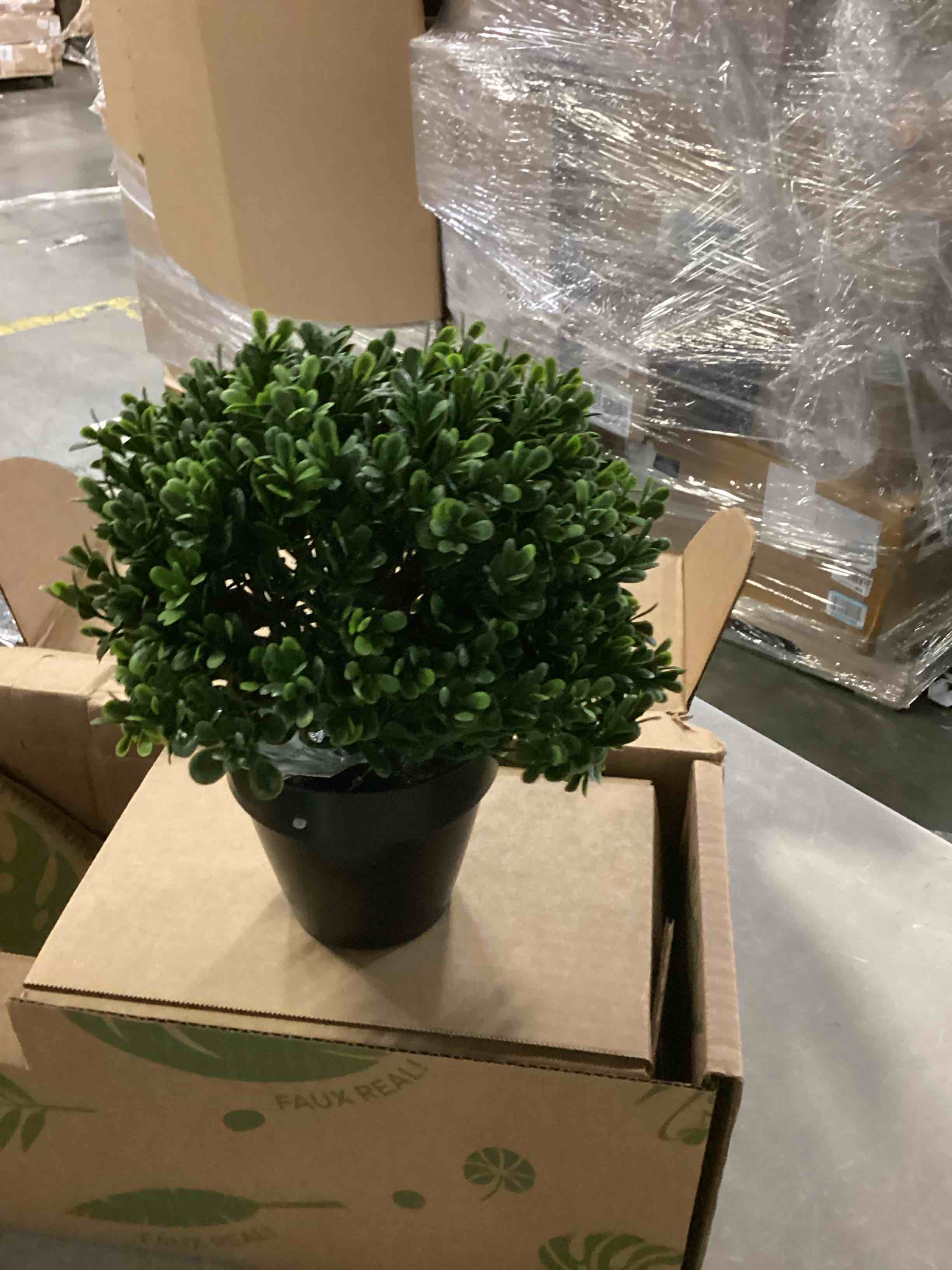 https://s3.amazonaws.com/lotting-images-prod/bidfta/BLU5881265_1718718787770.jpeg