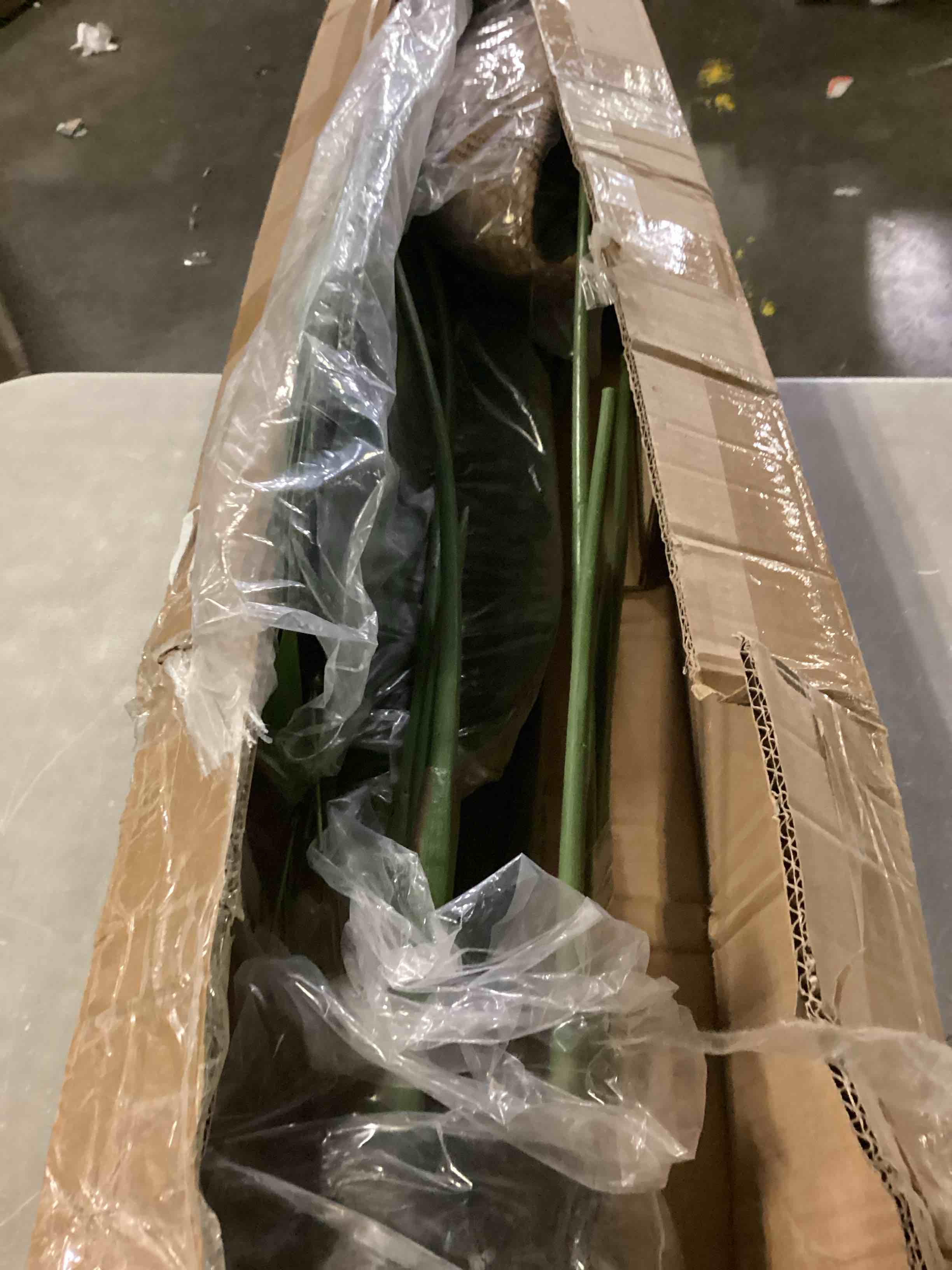 https://s3.amazonaws.com/lotting-images-prod/bidfta/BLU5881726_1718907844270.jpeg