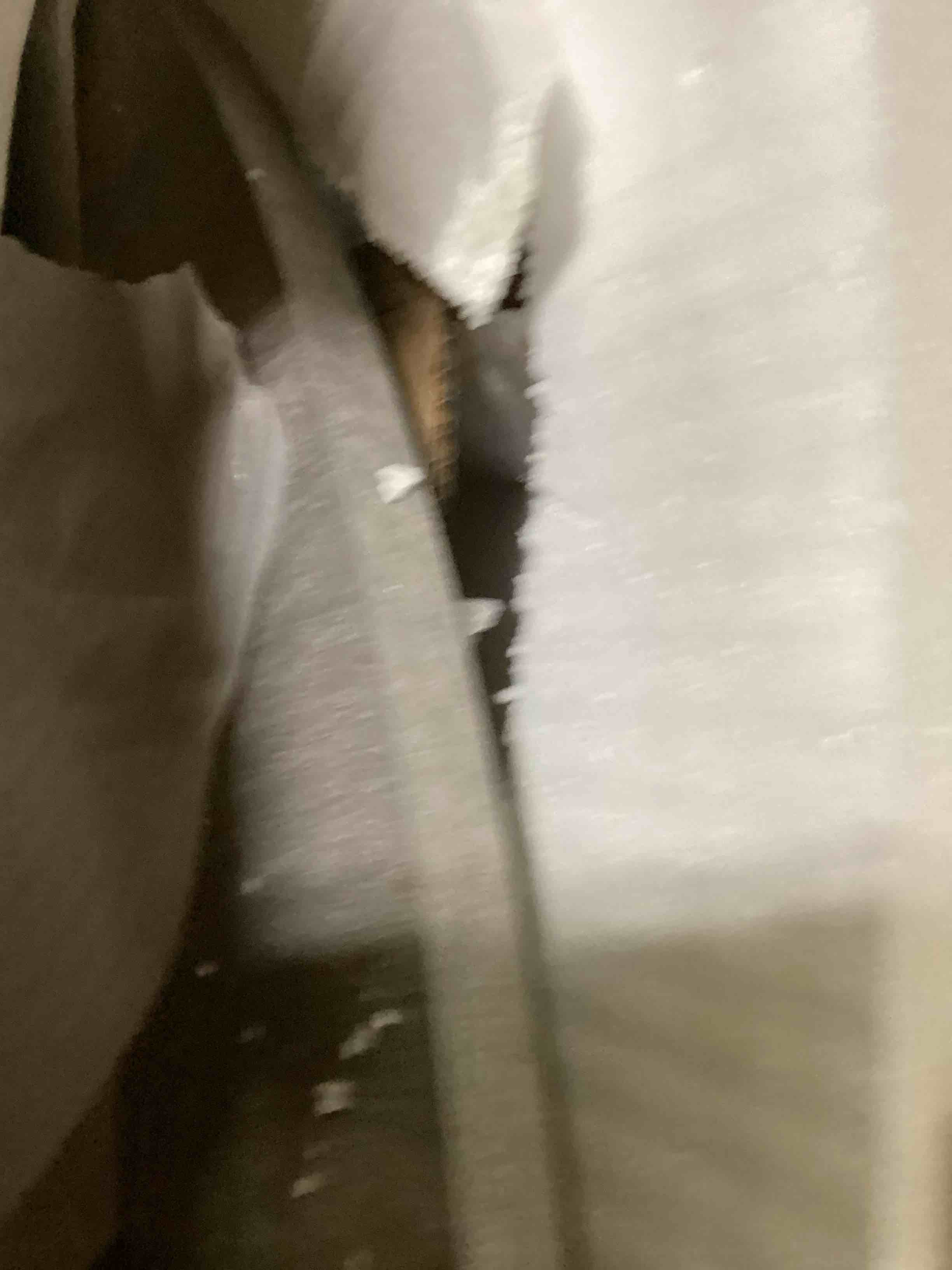 https://s3.amazonaws.com/lotting-images-prod/bidfta/BLU5892097_1713285878356.jpeg