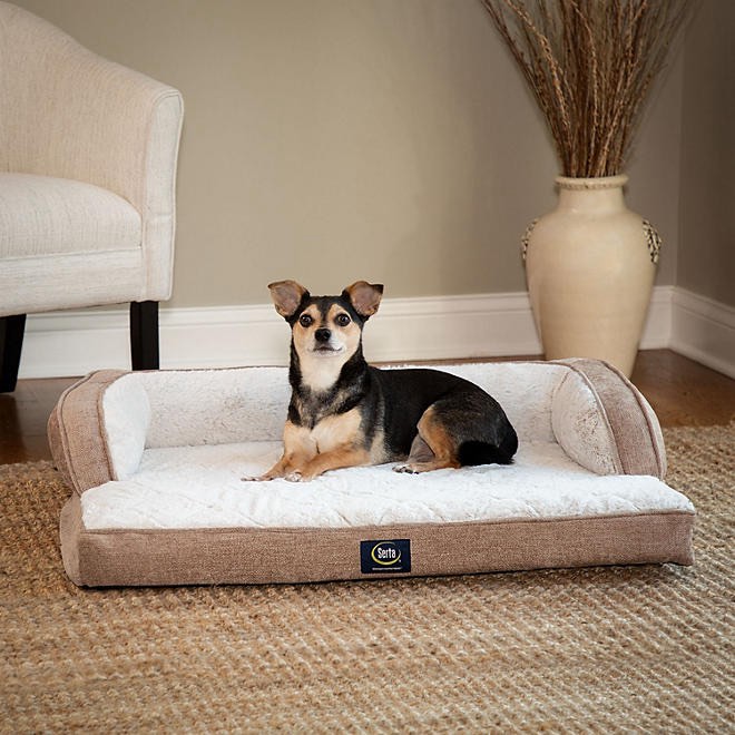 Serta Luxury Sleeper Sofa Pet Bed 