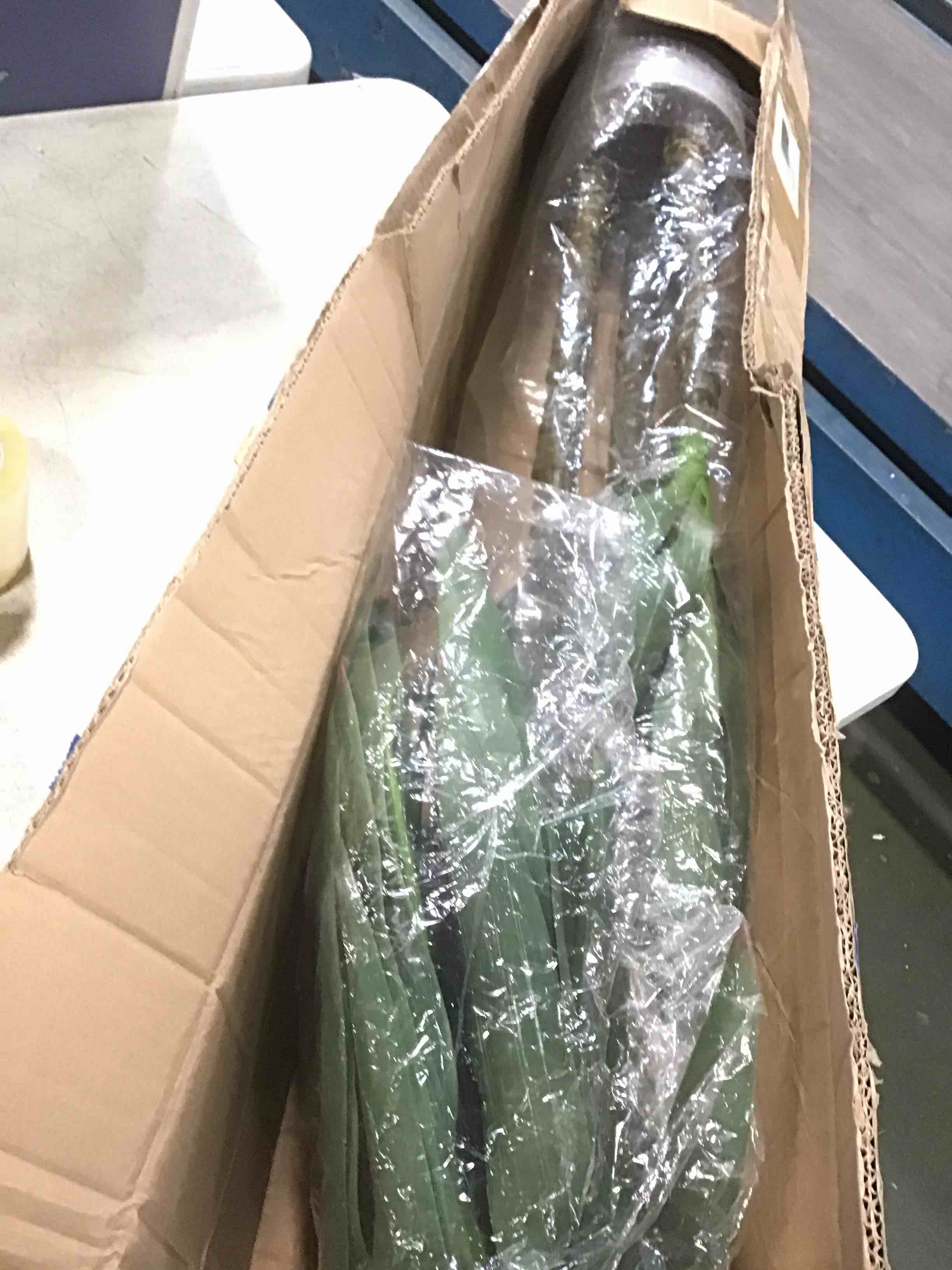 https://s3.amazonaws.com/lotting-images-prod/bidfta/BLU5912360_1709648201791.jpeg