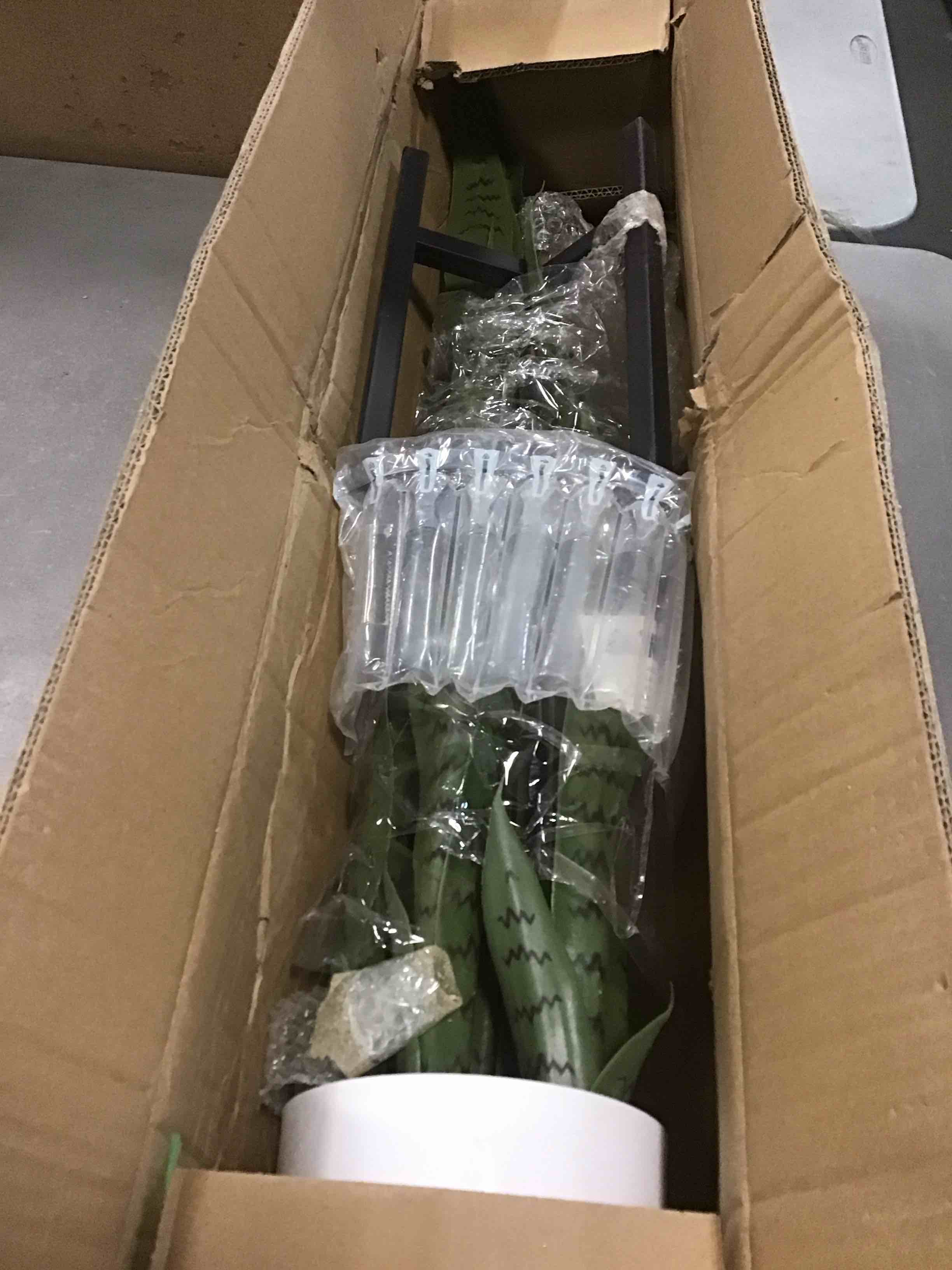 https://s3.amazonaws.com/lotting-images-prod/bidfta/BLU5912827_1709814278504.jpeg