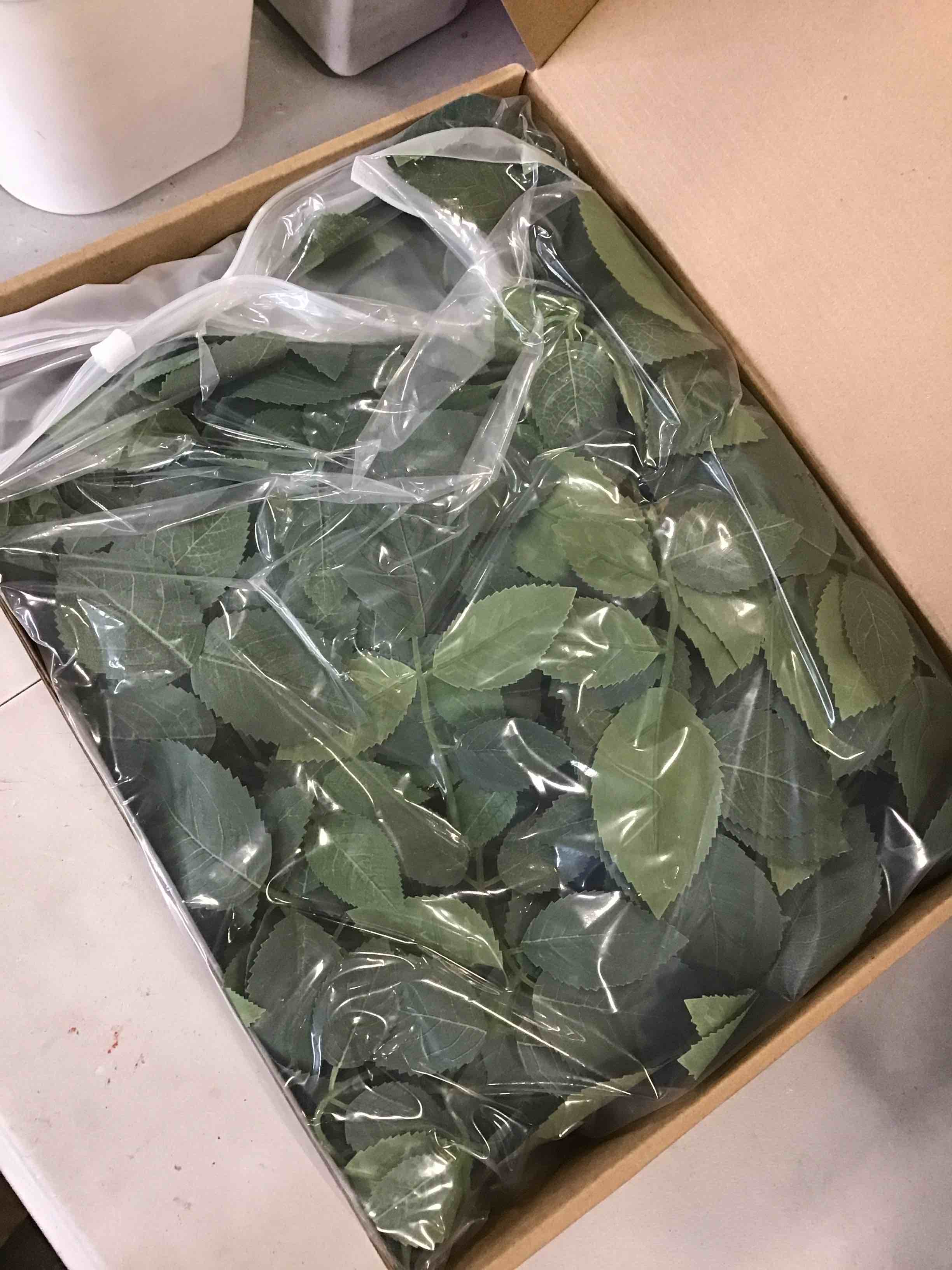 https://s3.amazonaws.com/lotting-images-prod/bidfta/BLU5934006_1715013453755.jpeg