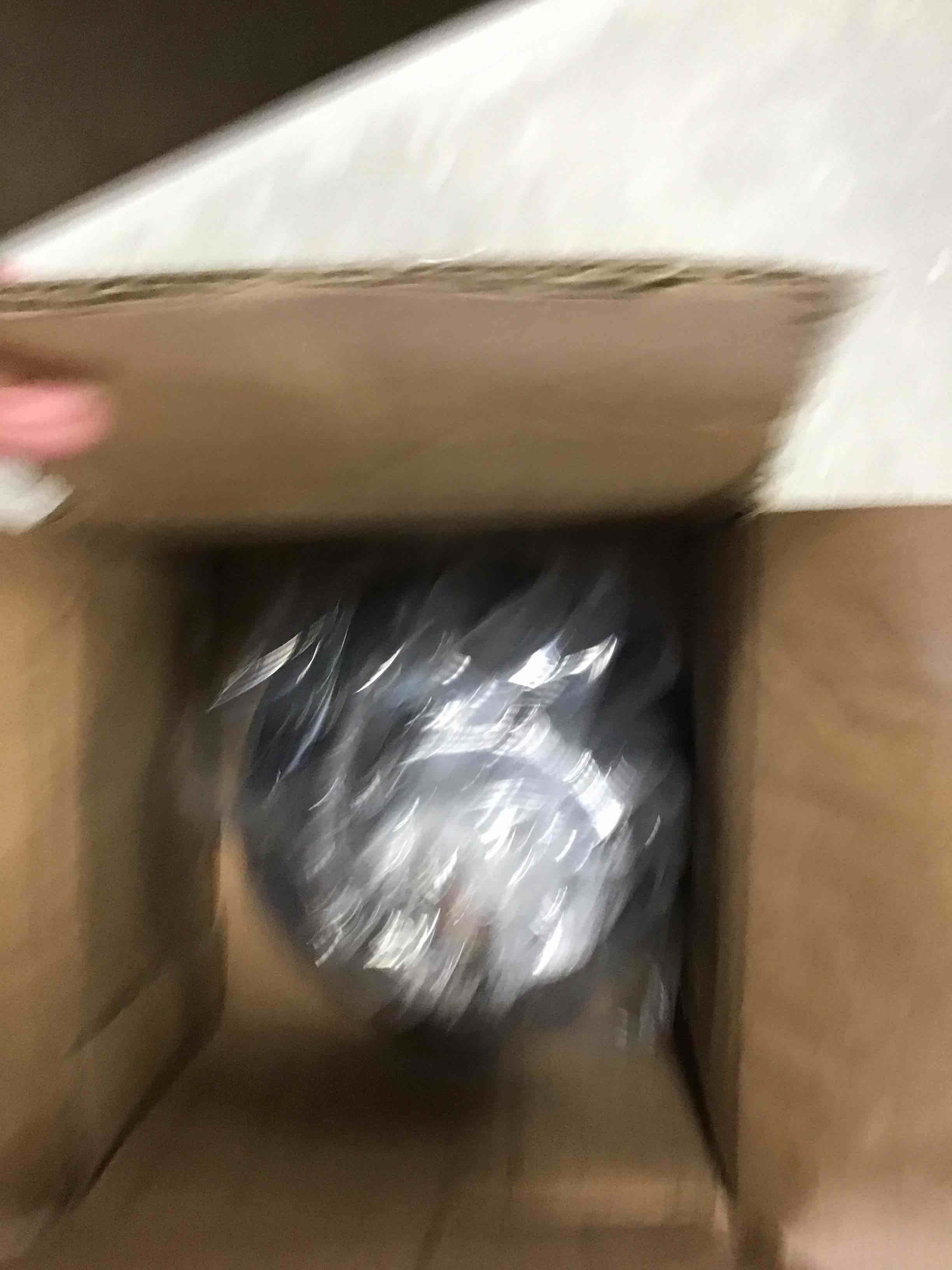 https://s3.amazonaws.com/lotting-images-prod/bidfta/BLU5935687_1709835031191.jpeg