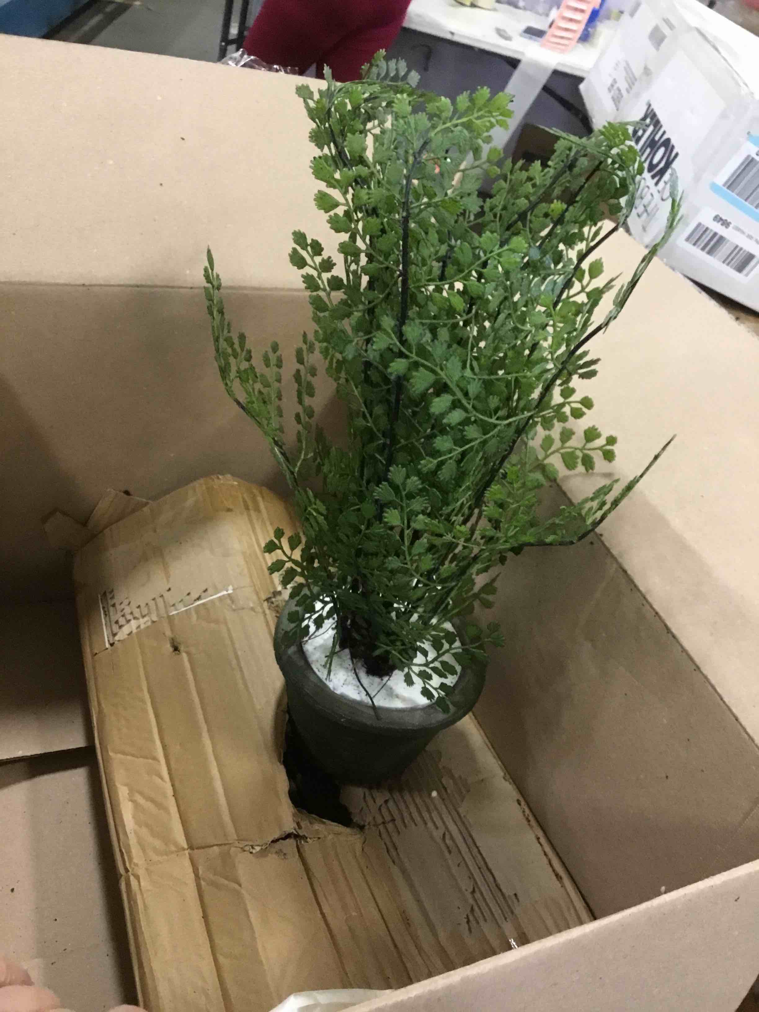 https://s3.amazonaws.com/lotting-images-prod/bidfta/BLU5939653_1707767975851.jpeg