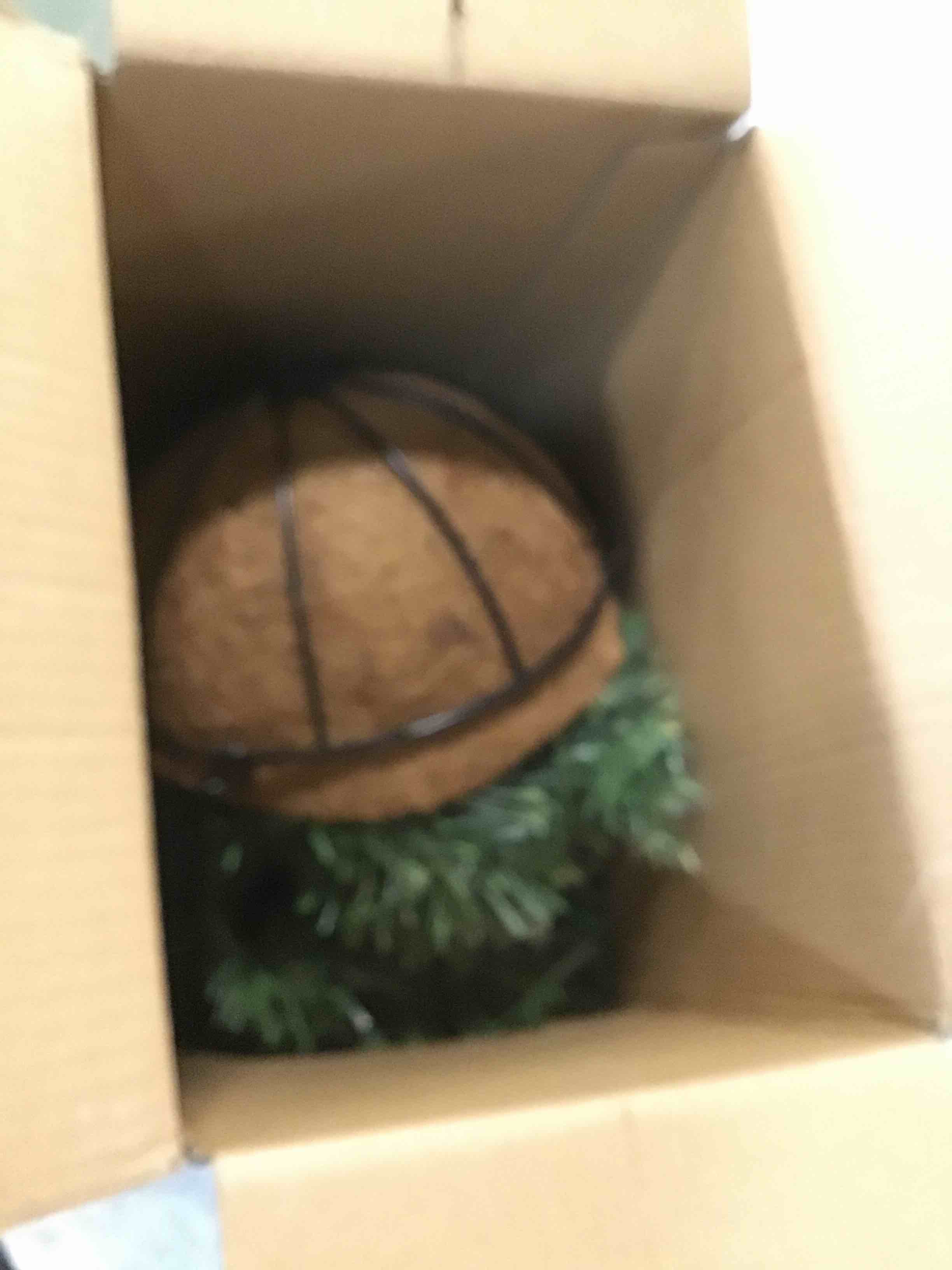 https://s3.amazonaws.com/lotting-images-prod/bidfta/BLU5945089_1707252388888.jpeg