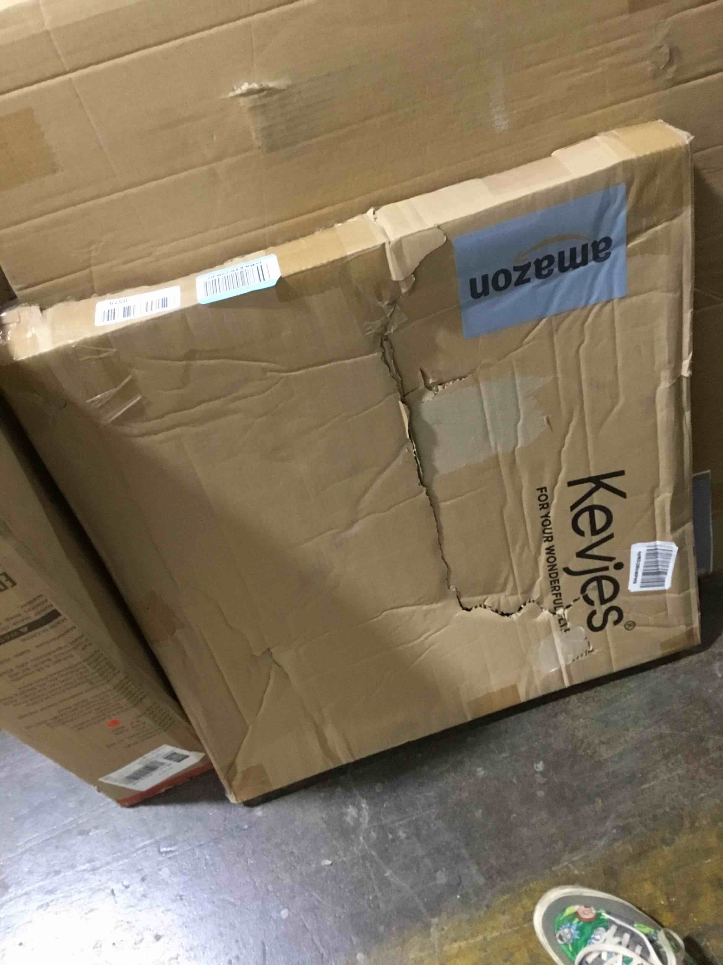 https://s3.amazonaws.com/lotting-images-prod/bidfta/BLU5981864_1708962484836.jpeg