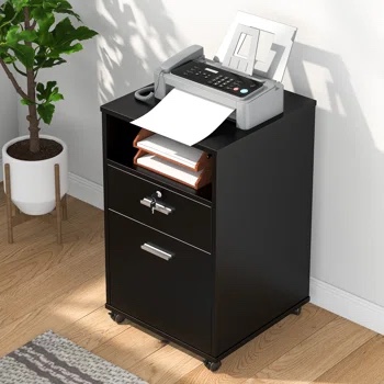 Cooleemee 2-Drawer Vertical Filing Cabinet