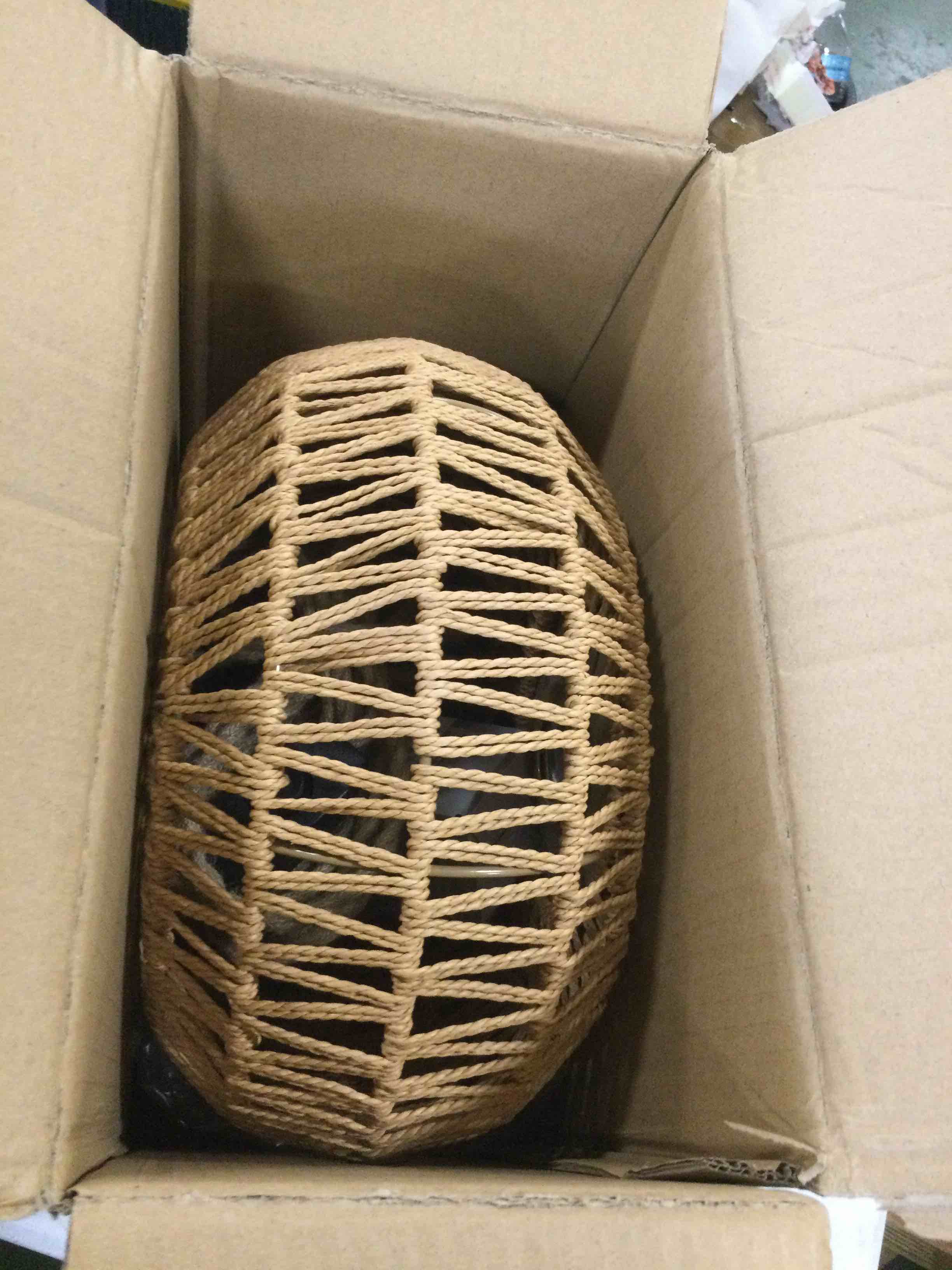 https://s3.amazonaws.com/lotting-images-prod/bidfta/BLU5991331_1711561669748.jpeg