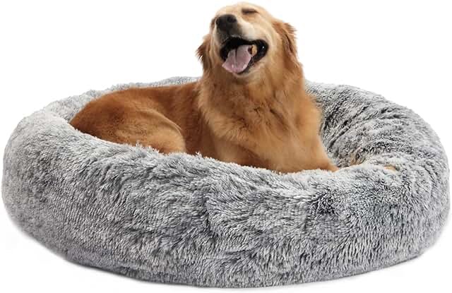 Blue, fluffy, dog bed