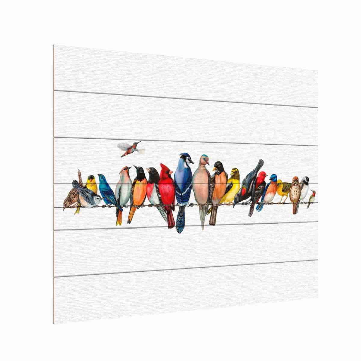 Large Bird Menagerie Ii" Outdoor All-Weather Wall Decor