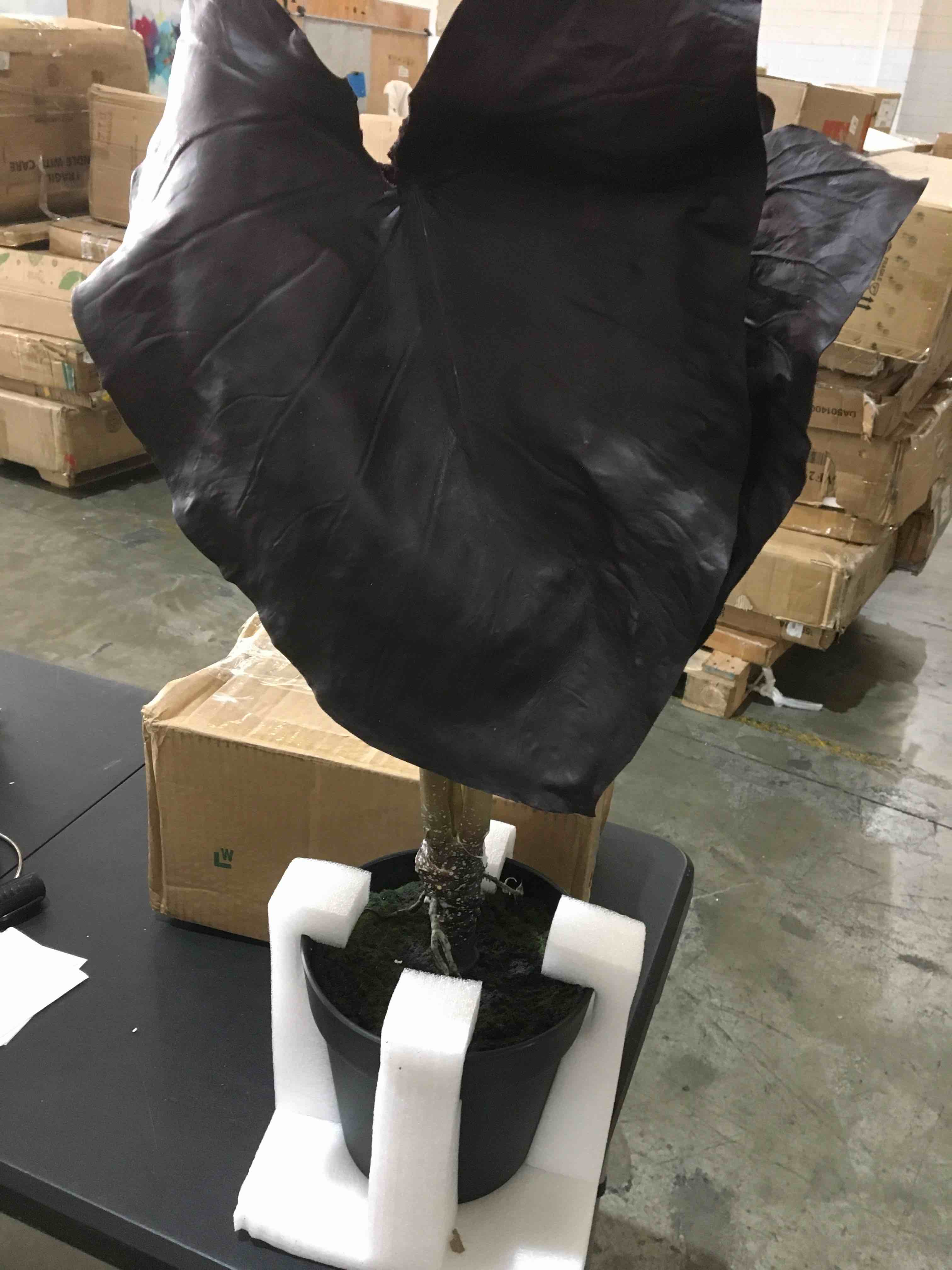 https://s3.amazonaws.com/lotting-images-prod/bidfta/BLU6007692_1724160819631.jpeg
