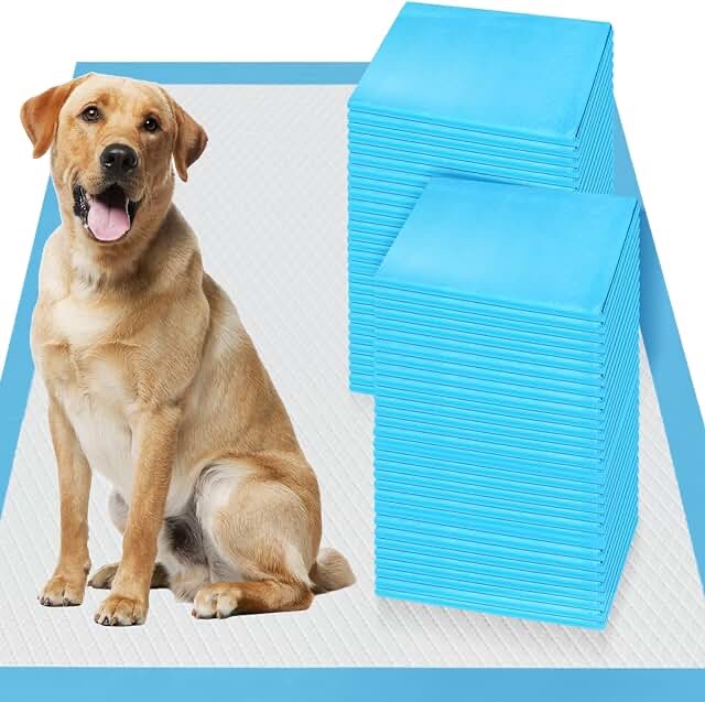 PETRIBE 200 Count Disposable Dog Pads Pet Training Pads - 6 Layers 17x 24 inch, Leakproof, Absorbent Underpads, Attractant Pet Potty & Odor Control Pads for Rabbits, Cats, Puppies, House Training