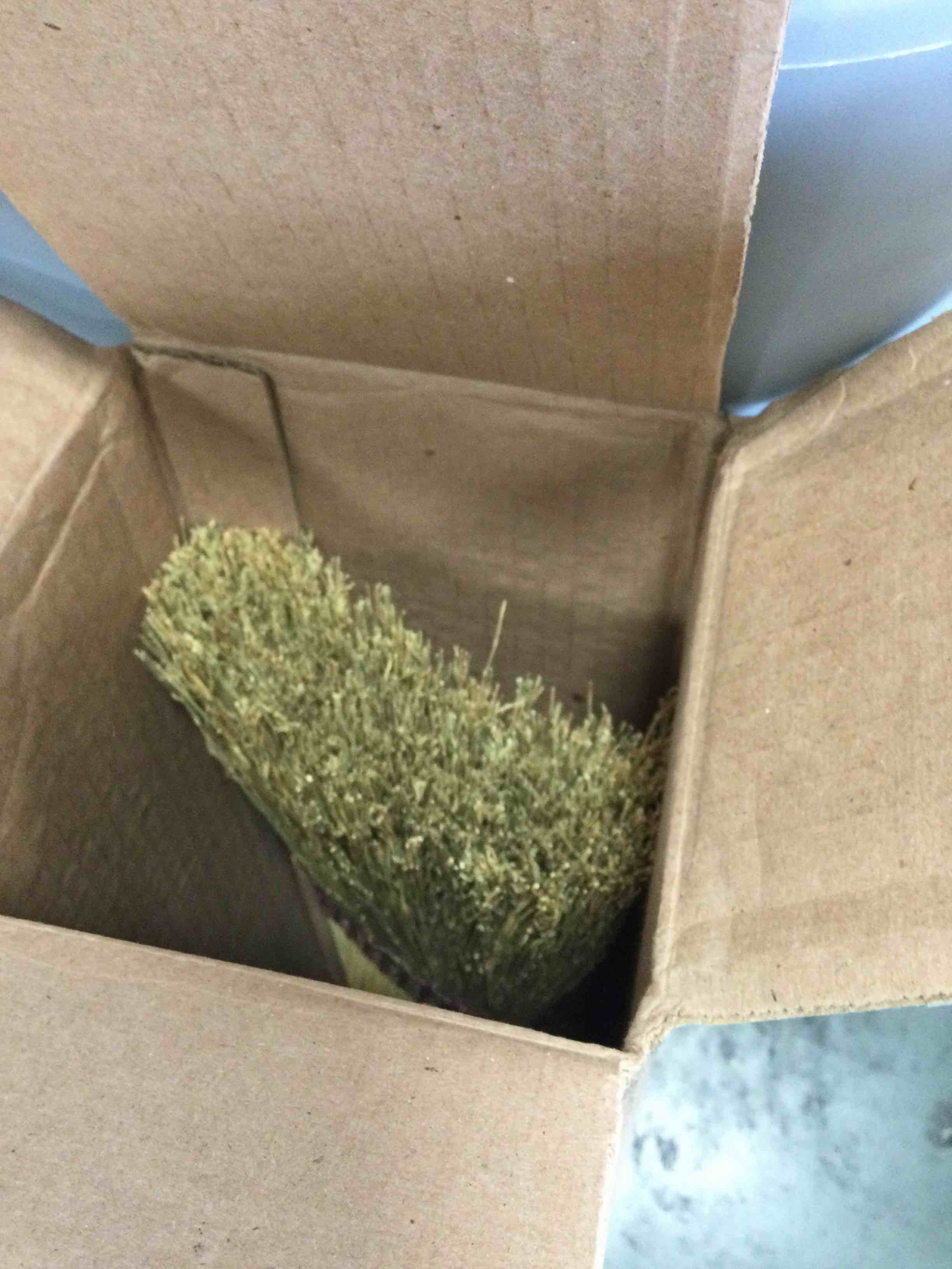 https://s3.amazonaws.com/lotting-images-prod/bidfta/BLU6027984_1710775468511.jpeg