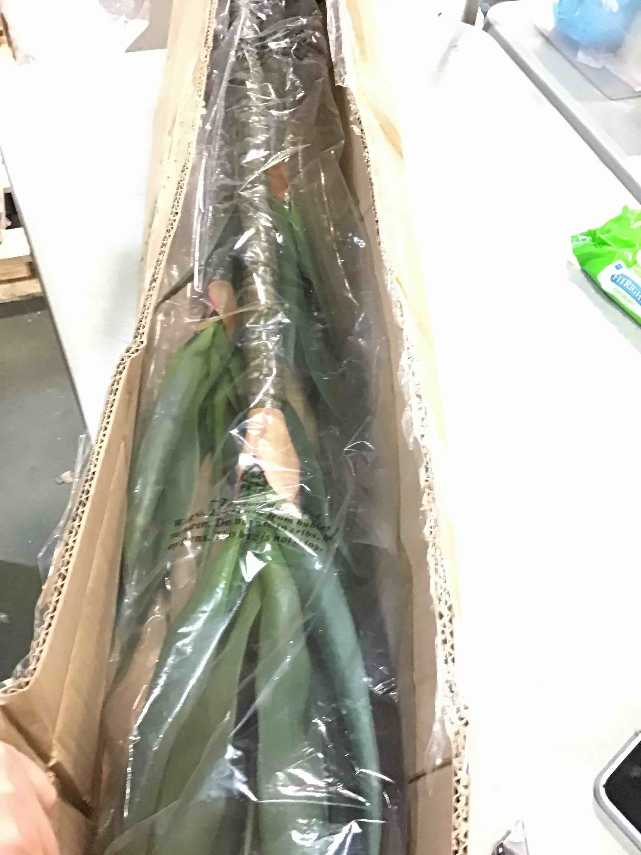 https://s3.amazonaws.com/lotting-images-prod/bidfta/BLU6047950_1710333264269.jpeg