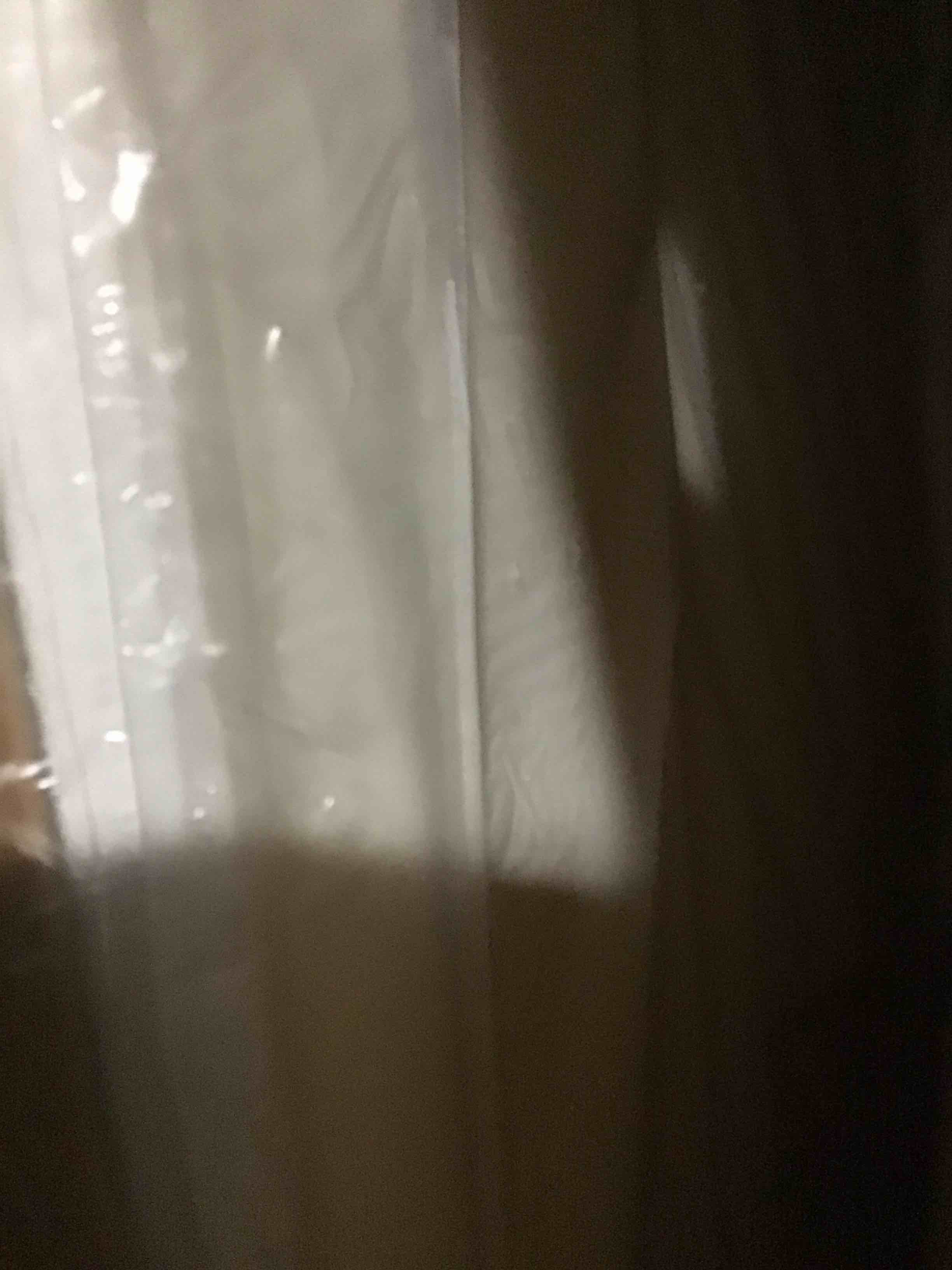 https://s3.amazonaws.com/lotting-images-prod/bidfta/BLU6058213_1708351521819.jpeg