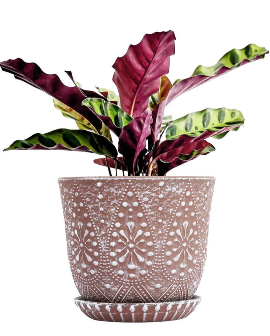 Gepege 8 Inch Plant Pot for Plants, Ceramic Planter with Drainage Holes and Saucers for Indoor Plants Large Flower Pot