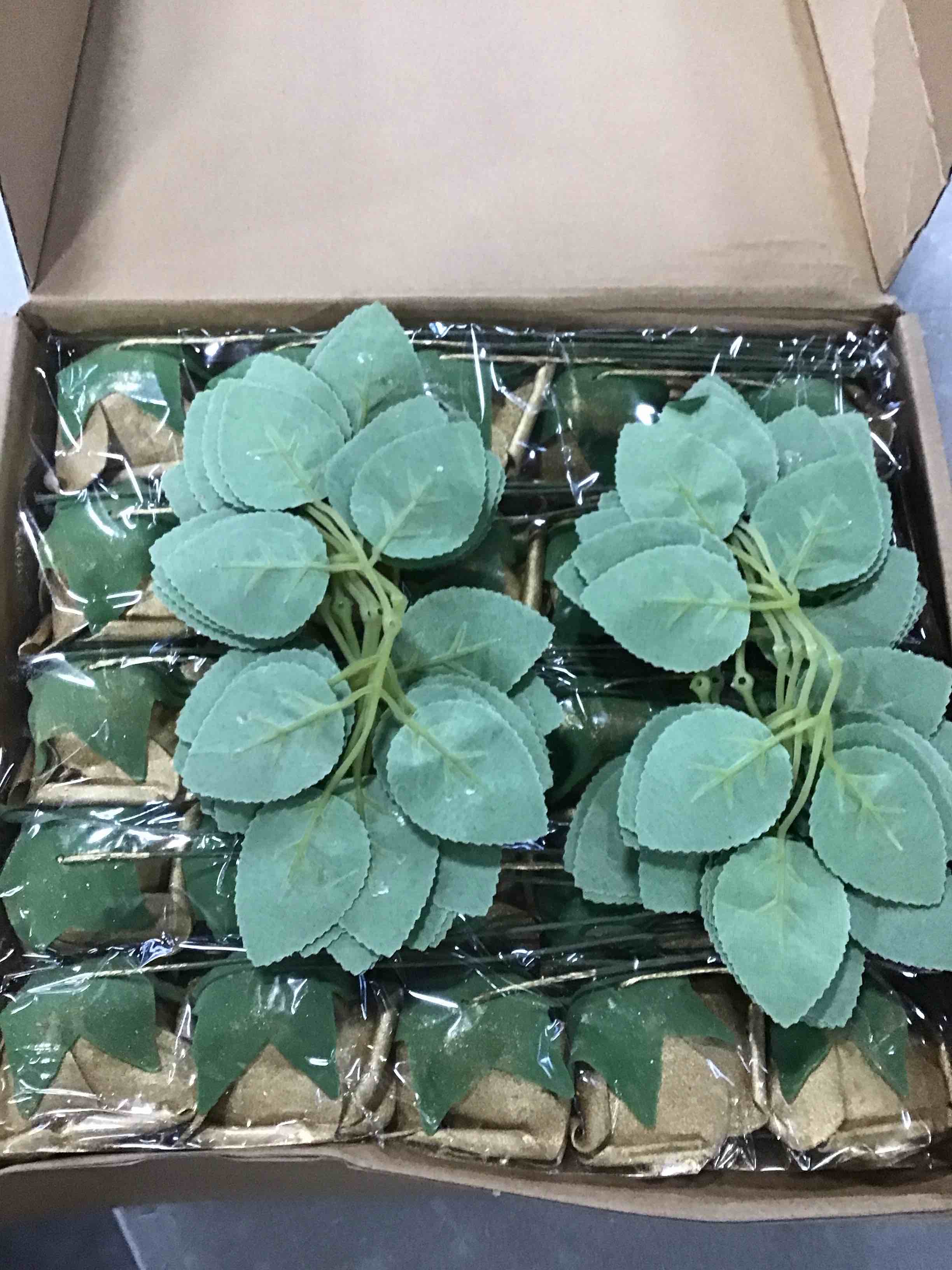 https://s3.amazonaws.com/lotting-images-prod/bidfta/BLU6084176_1708626144868.jpeg