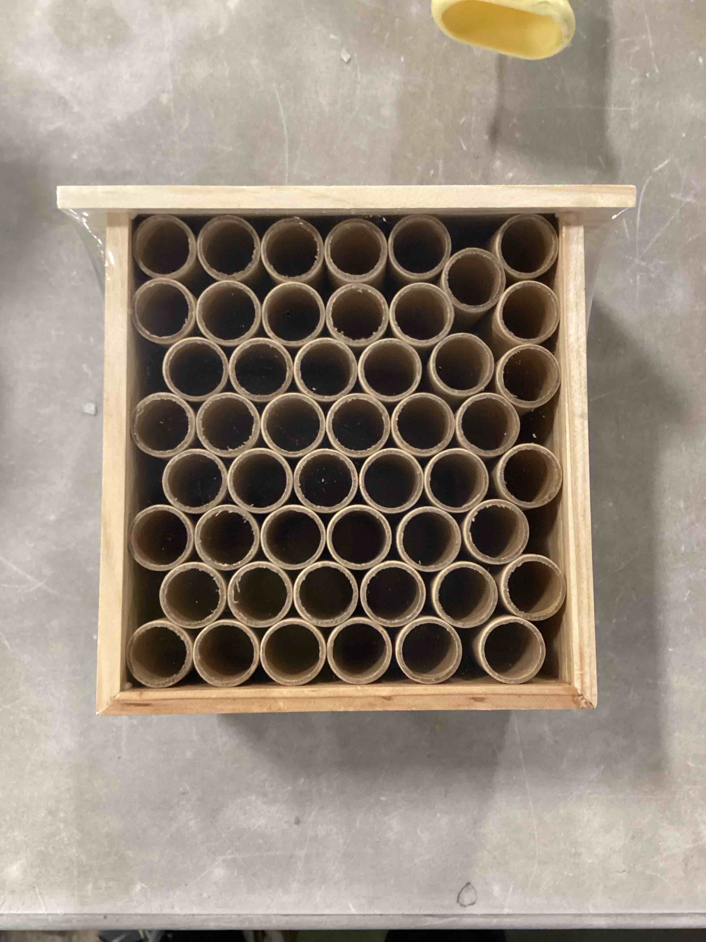 bee/bug hotel case of 12