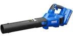 small hand held blue and black leaf blower 