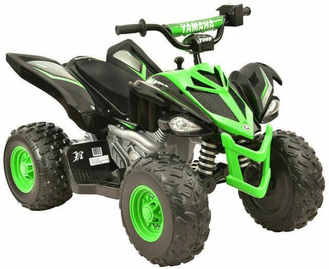 Yamaha raptor 6v 