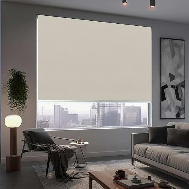 100% Blackout Roller Window Shades, Room Darkening Window Blinds with Thermal Insulated Fabric, Roll Pull Down Shades for Home and Office(Beige/Silver