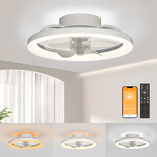 Black Ceiling Fans with Lights: 16 inch Bladeless Modern Ceiling Fans with Lights and Remote Low Profile Ceiling Fan with Light Flush Mount Ceiling Fan with Lights Ceiling Fan for Bedroom