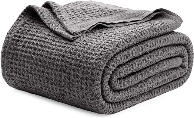 Madison Park cotton Blanket 