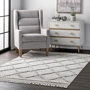 nuLOOM Skylar Geometric Trellis Tassel Area Rug, 4' x 6', Beige, Rectangular, 0.75" Thick