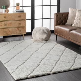 Classic Moroccan Trellis Shag 4’ x 6’ 