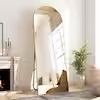 XRAMFY 20 in. W x 64 in. H Arched Gold Modern Aluminum Alloy Framed Full Length Mirror Floor Mirror