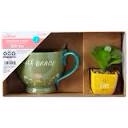 Mother's Day Succulant and Tea Cup Giftset-Way To Celebrate