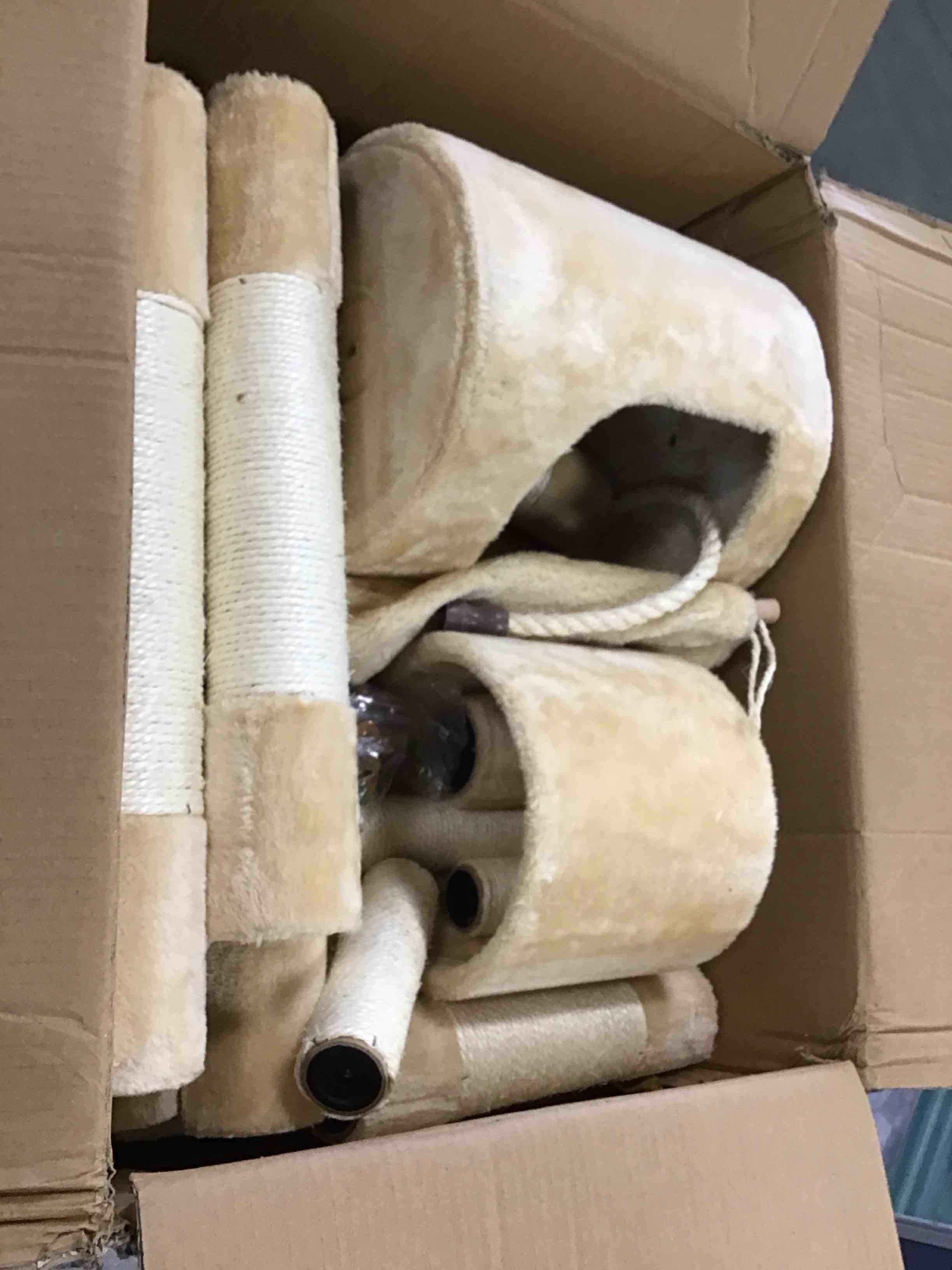 https://s3.amazonaws.com/lotting-images-prod/bidfta/BLU6266992_1715880800121.jpeg
