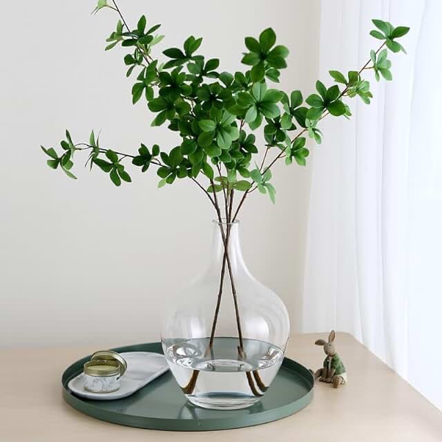 Clear Vases for Flowers, Clear Glass Vase, 12 Inch Vase, Glass Jug Vase, Large Glass Jar Jug Bottle Table Decor, Round Glass Vase, Glass Vase for Plants Pampas, Jarrones Grandes para Sala Elegantes Medium Clear