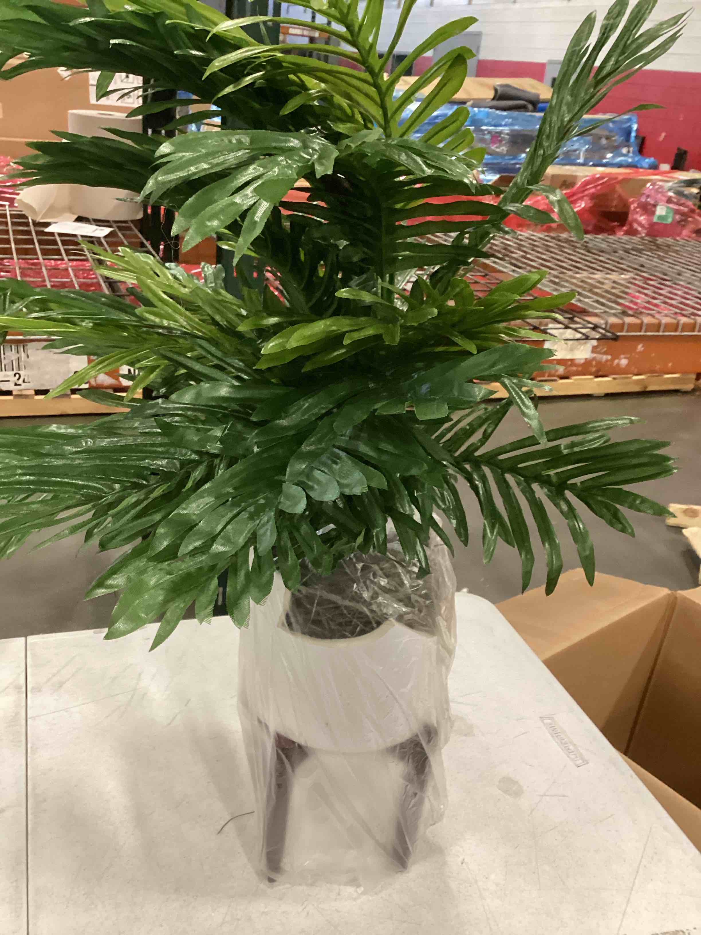 Member’s Mark Faux" Areca Palm