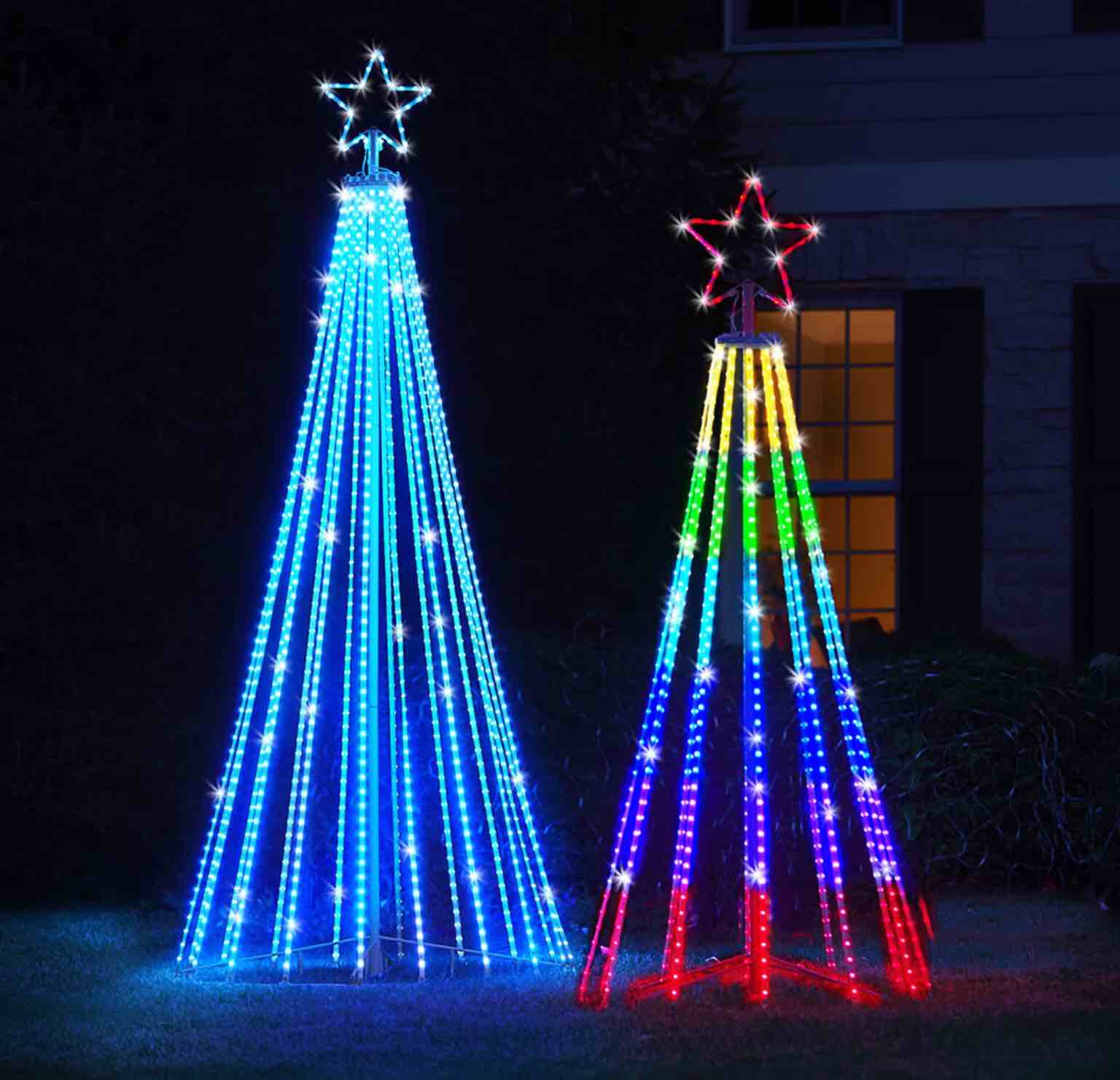 The Choreographed Light Show Tree