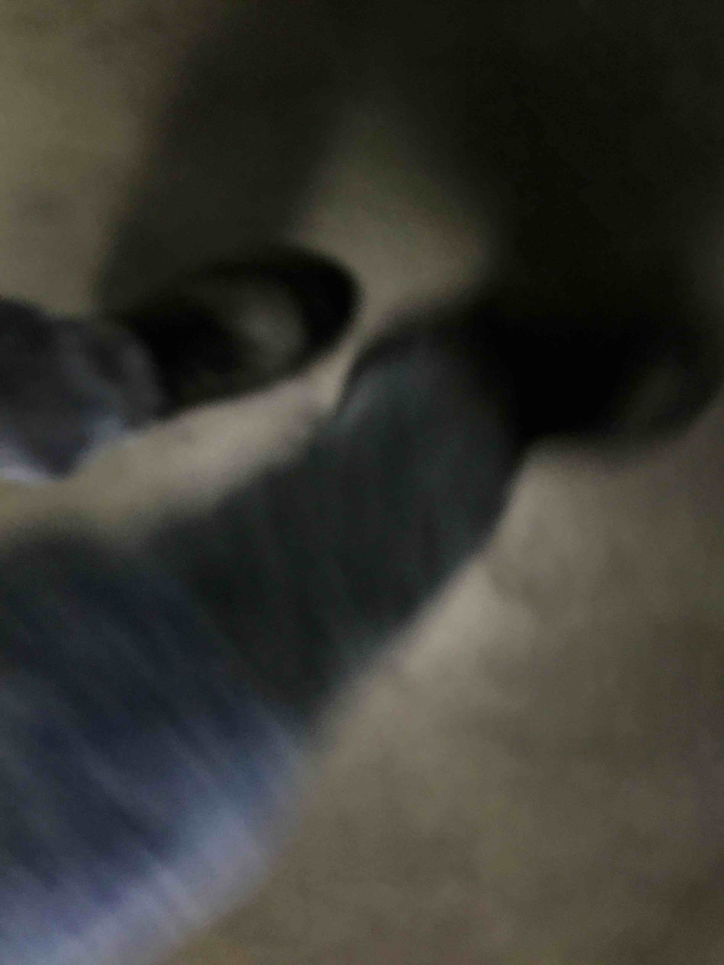 https://s3.amazonaws.com/lotting-images-prod/bidfta/BLU6342188_1713552079792.jpeg