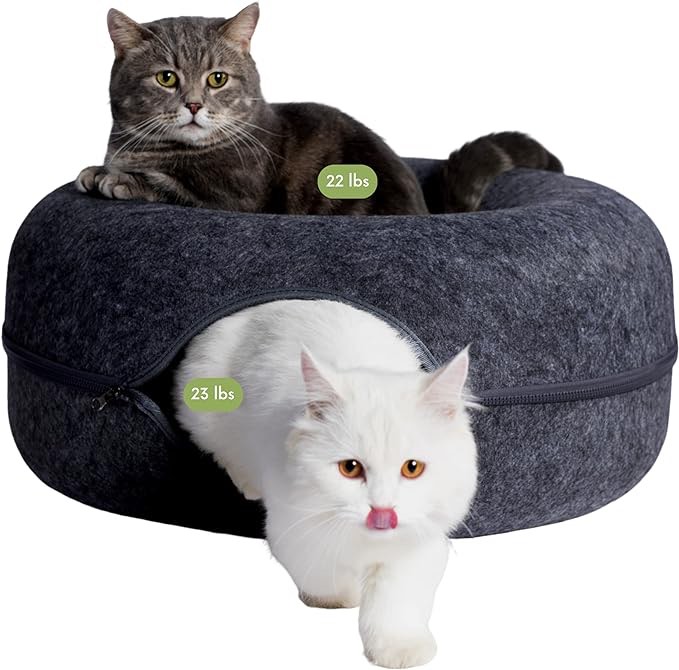 CATTASAURUS Peekaboo Cat Cave for Multiple Cats & Large Cats, for Cats Up to 30 Lbs, Cat Caves for Indoor Cats, Cat Tunnel Bed, Scratch Detachable & Washable Tunnel Cat Bed (Large, Dark Gray)