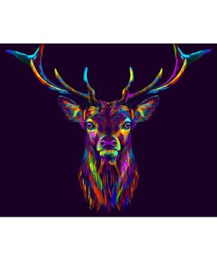 Hy-funclub diy paint by numbers colorful deer