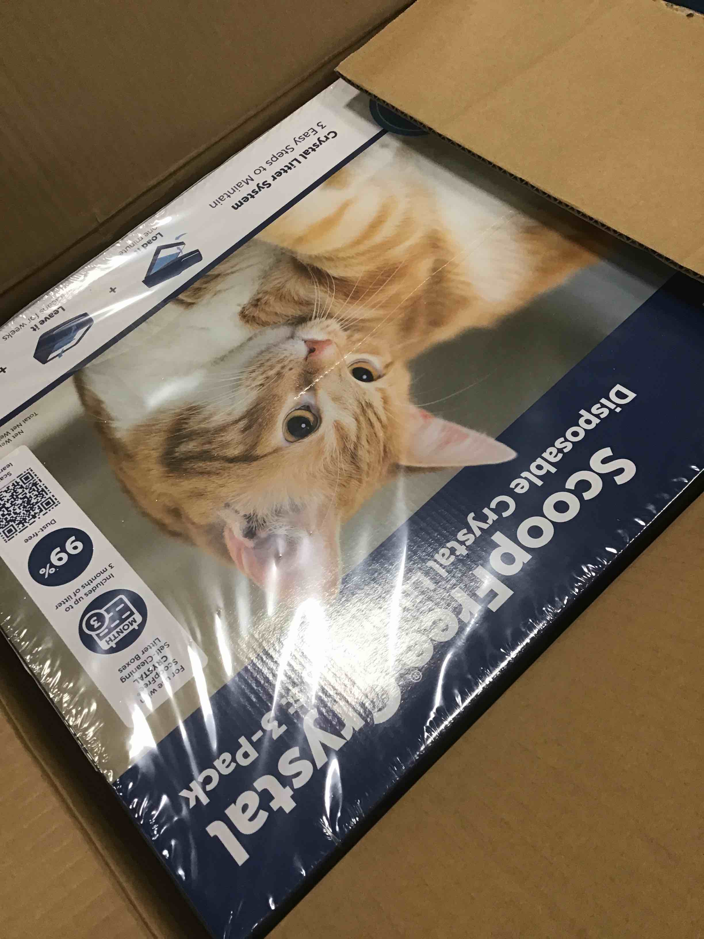 https://s3.amazonaws.com/lotting-images-prod/bidfta/BLU6366423_1712079181498.jpeg