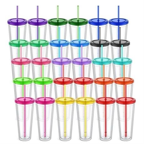 30 Pack 22 oz Classic Insulated Double Wall Tumbler Cups with Lid Colorful Double Wall Clear Plastic Tumblers Reusable Plastic Insulated Tumblers with Reusable Straw for Iced and Hot Drinks