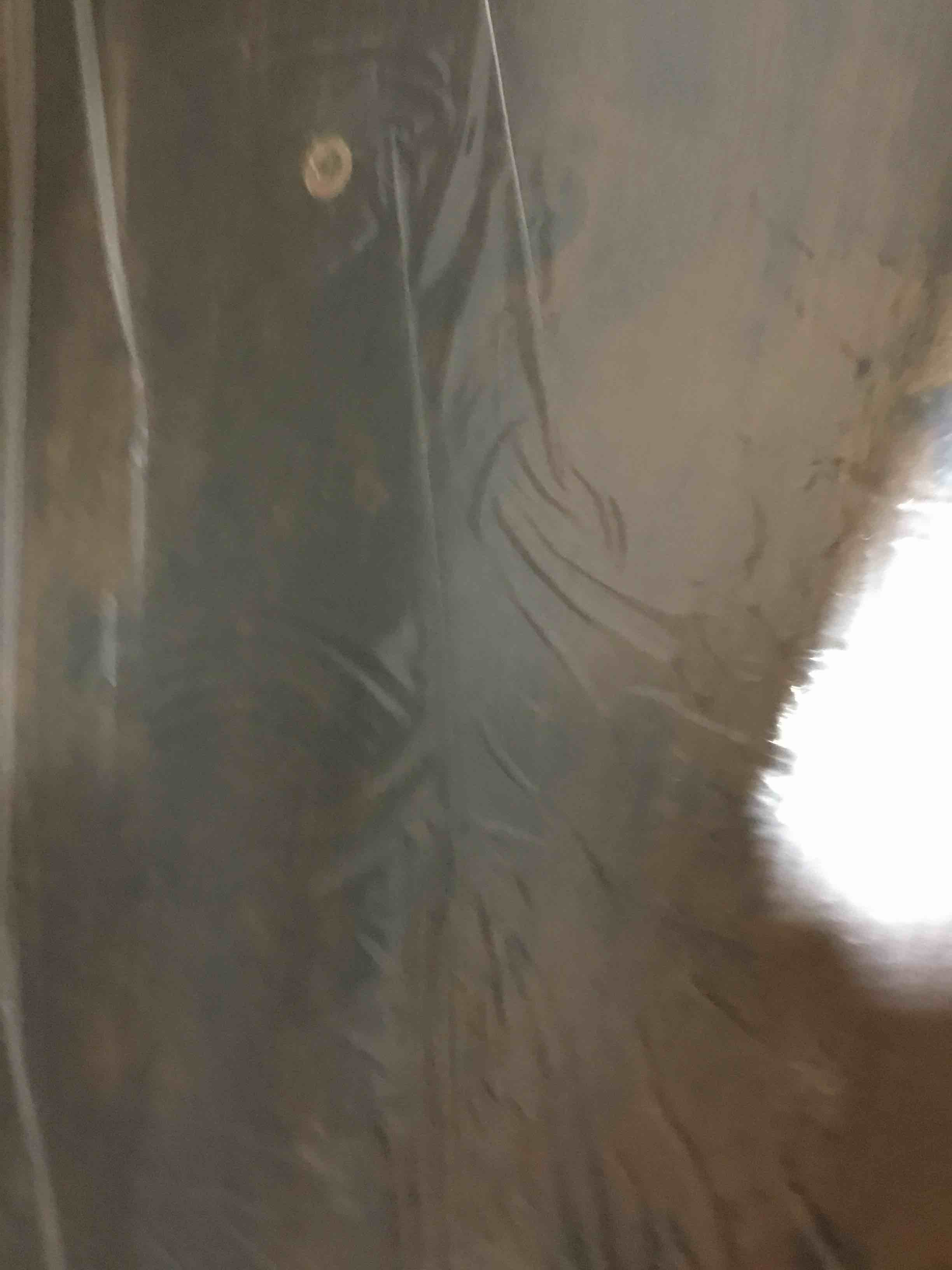 https://s3.amazonaws.com/lotting-images-prod/bidfta/BLU6391103_1714058803216.jpeg