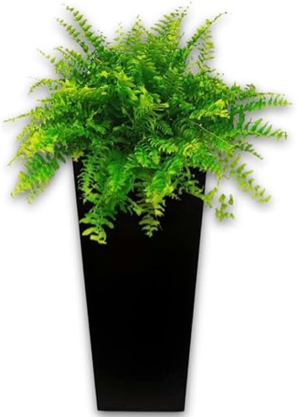 Ed planter plastic 12x 22” black 