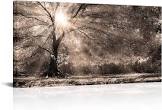 LevvArts Big Tree Sunshine Wall Art Canvas Nature Forest Landscape Picture Painting Vintage Sepia Photo Prints Artwork for Home Living Room Bedroom Office Decor 24"x48"