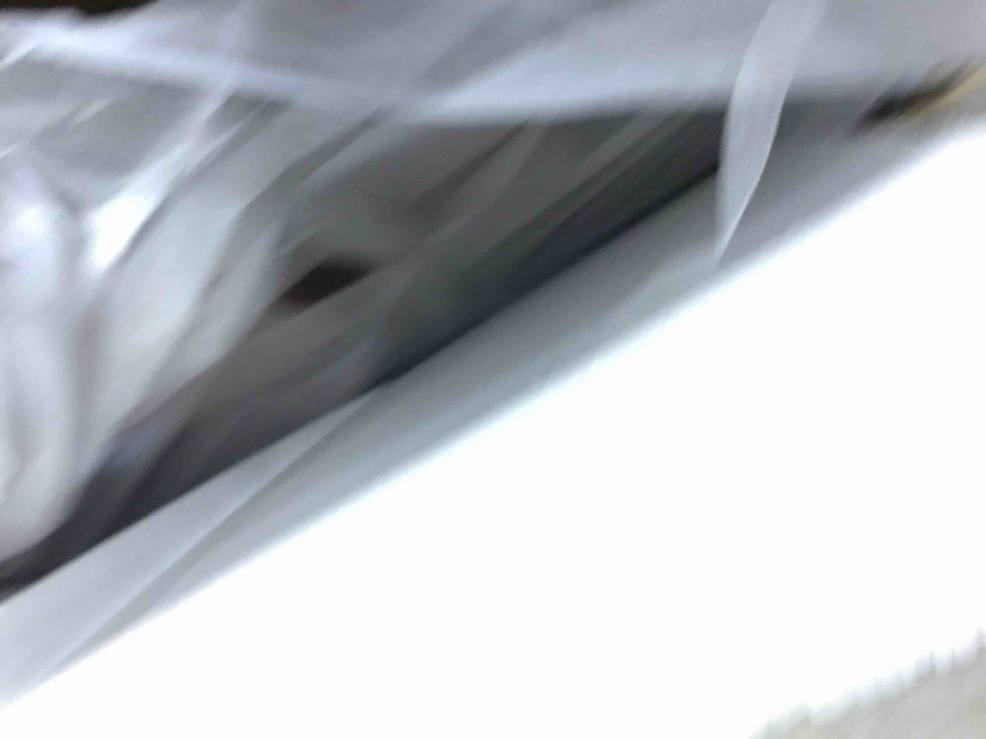 https://s3.amazonaws.com/lotting-images-prod/bidfta/BLU6578010_1719846205288.jpeg