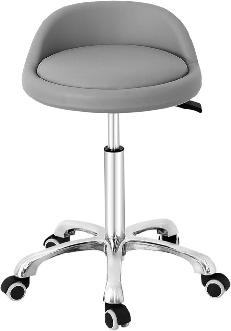  Professional Gilder Series with Backrest Comfortable Seat Rolling Swivel Pneumatic Adjustable Heavy Duty Stool for Shop, Salon, Office and Home (Without Footrest, Grey)