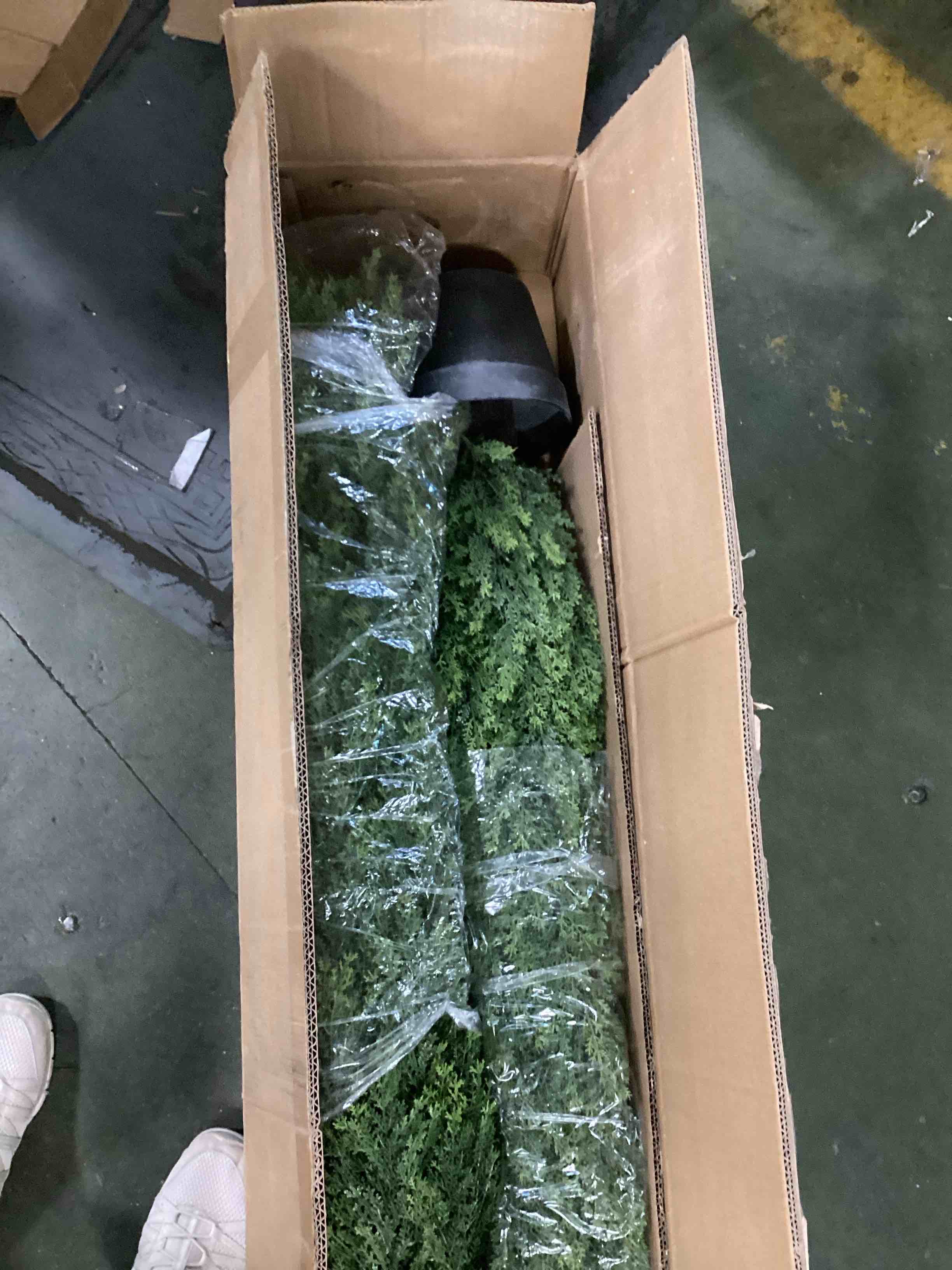 https://s3.amazonaws.com/lotting-images-prod/bidfta/BLU6636152_1721255620794.jpeg
