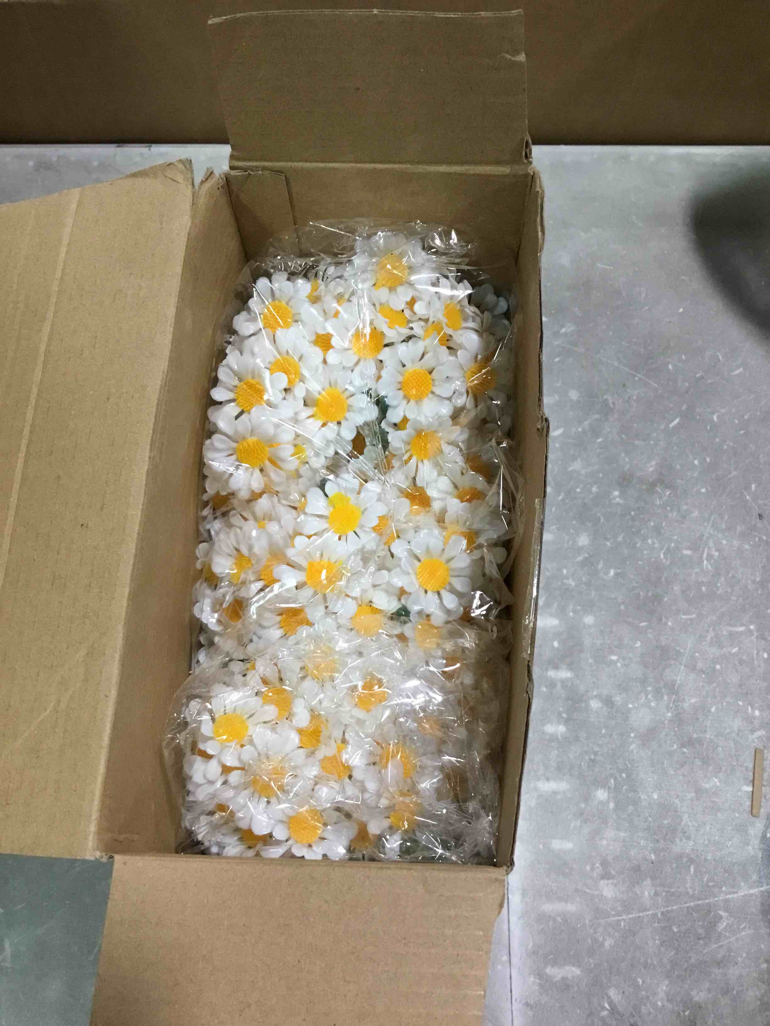 https://s3.amazonaws.com/lotting-images-prod/bidfta/BLU6708304_1720187850026.jpeg