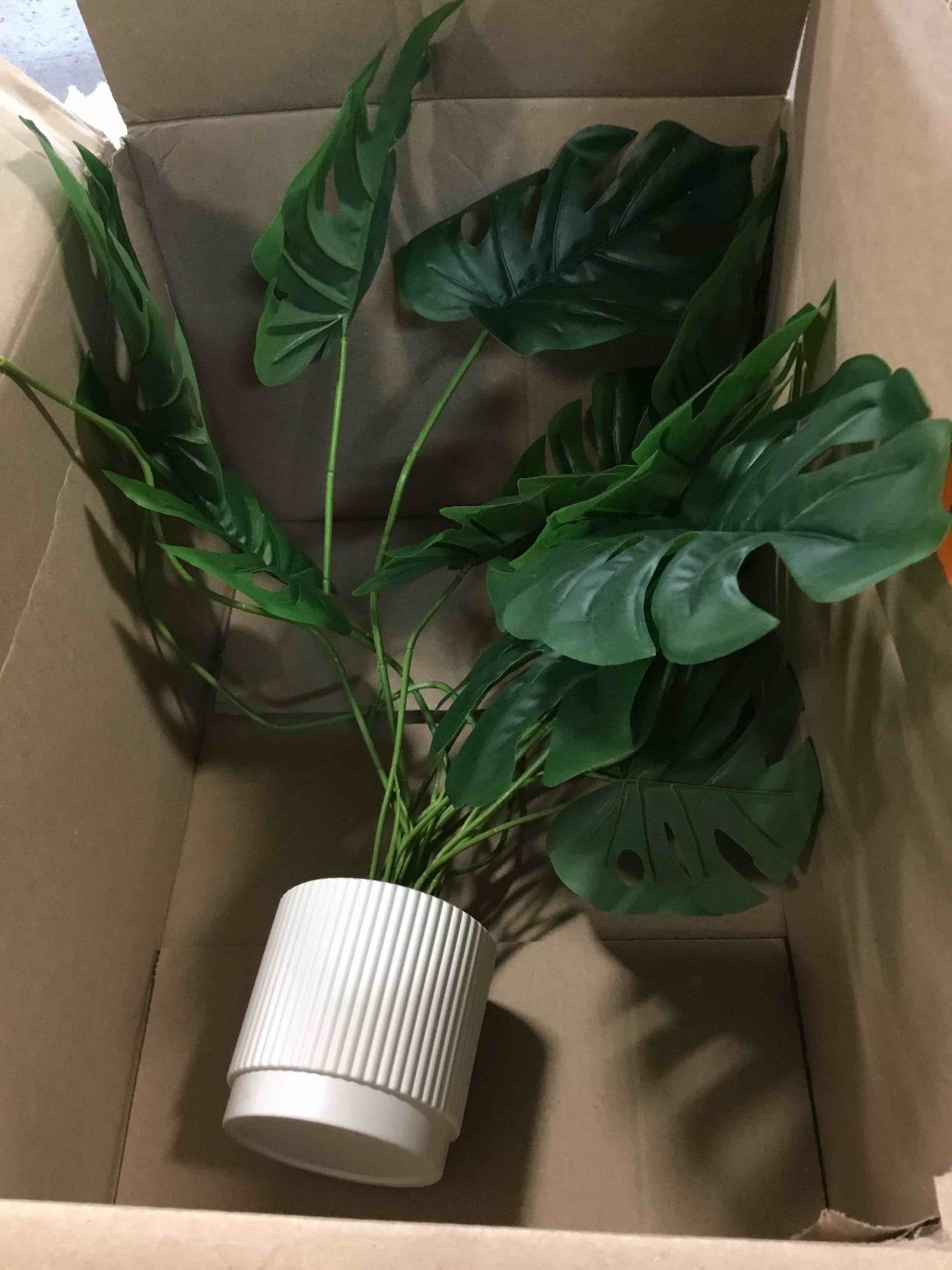 https://s3.amazonaws.com/lotting-images-prod/bidfta/BLU6713715_1719605287773.jpeg