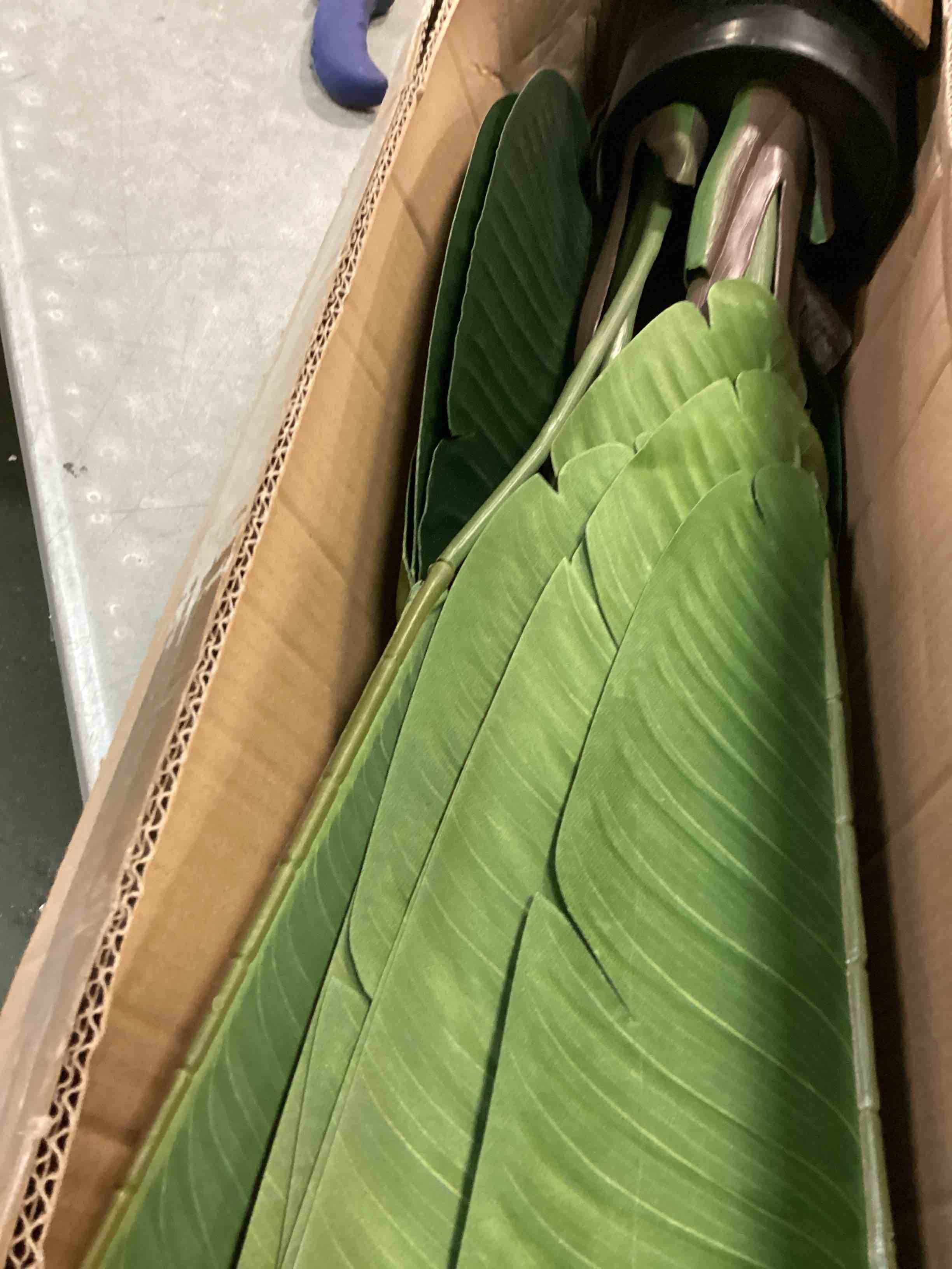 https://s3.amazonaws.com/lotting-images-prod/bidfta/BLU6718937_1722616294233.jpeg